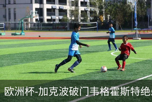 欧洲杯-加克波破门韦格霍斯特绝杀 荷兰2-1波兰